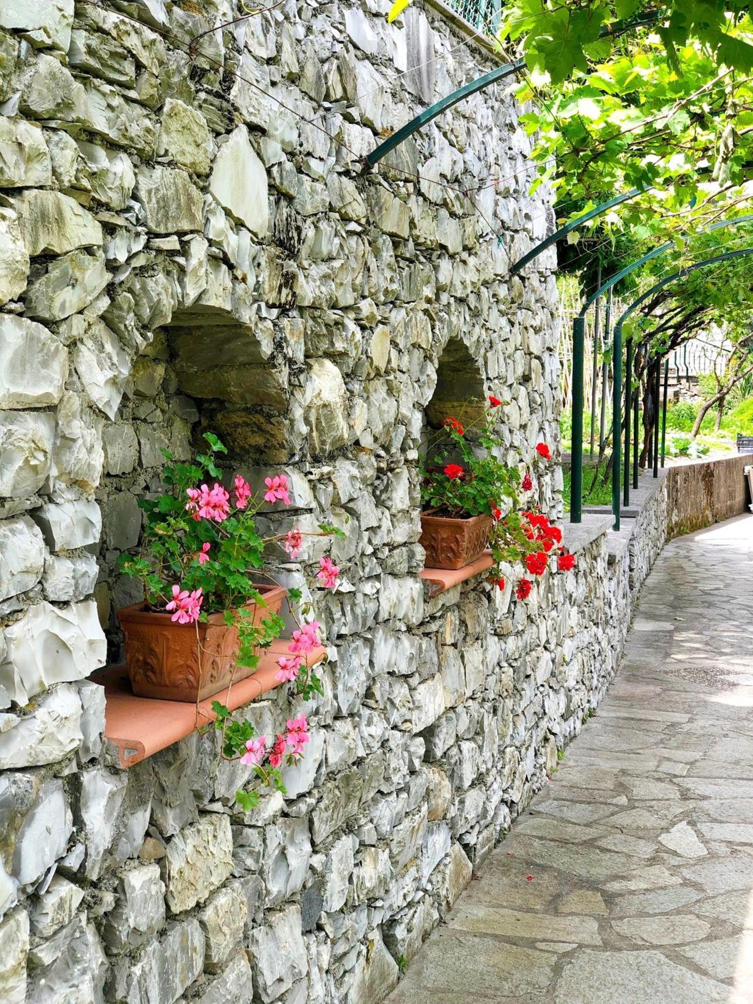 Hotel Villa Edera & La Torretta Moneglia Extérieur photo